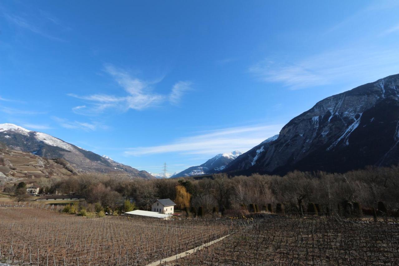 Bnb Vino Veritas Salgesch Εξωτερικό φωτογραφία